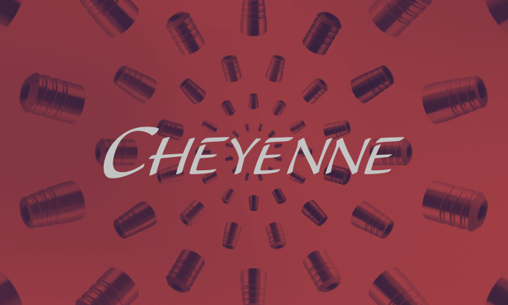 Cheyenne Tattoo Equipment - Produktkatalog, Layout und Satz